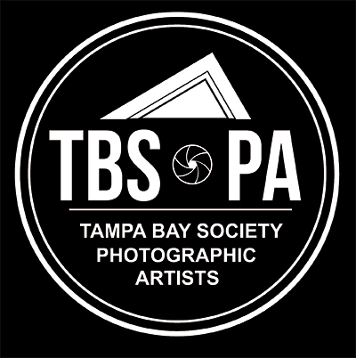 Promotional image for TBSoPA Monthly Meeting