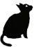 Zazu - the House of Shadows Cat