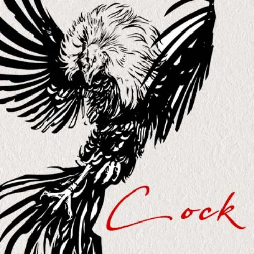 Cock - A modern approach to deconstructing masculinity